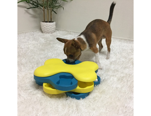 JEU D'INTELLIGENCE DOG SMART TORNADO - NIVEAU 2 JEU D'INTELLIGENCE DOG SMART TORNADO - NIVEAU 2