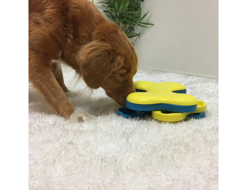 JEU D'INTELLIGENCE DOG SMART TORNADO - NIVEAU 2 JEU D'INTELLIGENCE DOG SMART TORNADO - NIVEAU 2