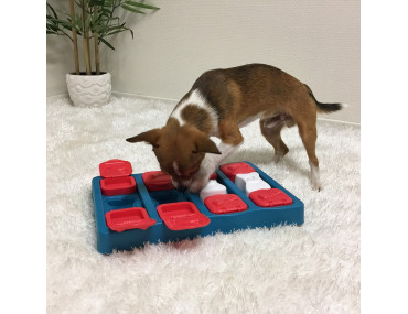 Cool free homemade dog puzzle!  Jeu chien, Jouet chien, Jeux d intelligence