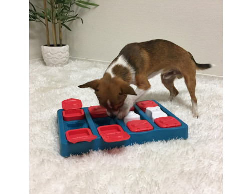 JEU D'INTELLIGENCE DOG SMART BRICK - NIVEAU 2 JEU D'INTELLIGENCE DOG SMART BRICK - NIVEAU 2
