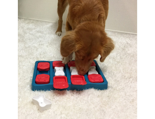 JEU D'INTELLIGENCE DOG SMART BRICK - NIVEAU 2 JEU D'INTELLIGENCE DOG SMART BRICK - NIVEAU 2