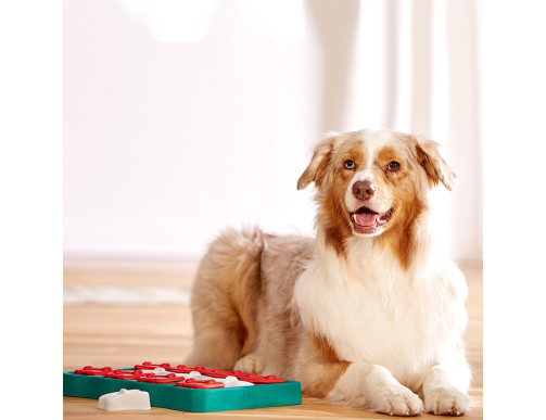 JEU D'INTELLIGENCE DOG SMART BRICK - NIVEAU 2 JEU D'INTELLIGENCE DOG SMART BRICK - NIVEAU 2