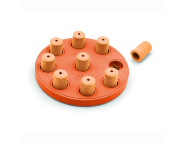 JEU D'INTELLIGENCE DOG SMART COMPOSITE - NIVEAU 1