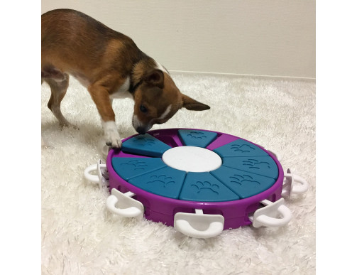 JEU D'INTELLIGENCE DOG SMART TWISTER - NIVEAU 3 JEU D'INTELLIGENCE DOG SMART TWISTER - NIVEAU 3