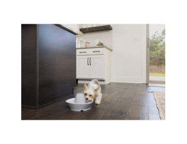 FONTAINE PETSAFE/DRINKWELL CERAMIQUE 1.8L