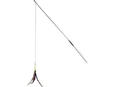 CANNE AVEC VRAIES PLUMES
