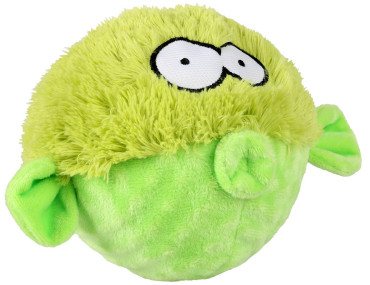 COOCKOO GARY VERT