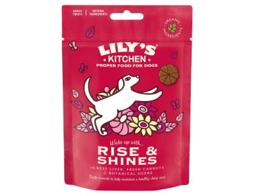 BISCUITS RISE AND SHINE LILYS KITCHEN BOEUF