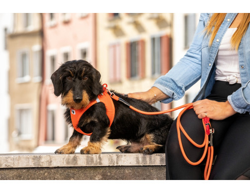 HARNAIS CURLI CLASP SUN ORANGE HARNAIS CURLI CLASP SUN ORANGE
