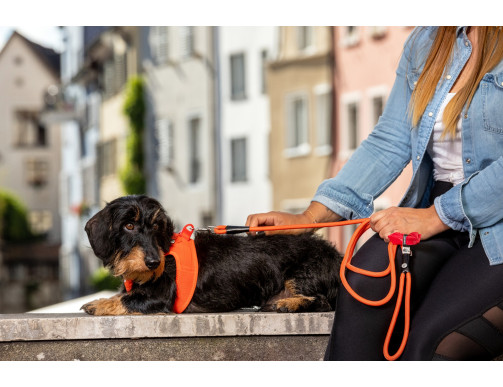 HARNAIS CURLI CLASP SUN ORANGE HARNAIS CURLI CLASP SUN ORANGE