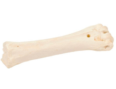 OS DE BOEUF AU CALCIUM!