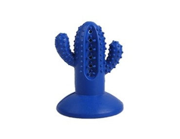 JOUET DENTAIRE CACTUS SMALL