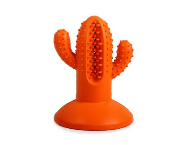 JOUET DENTAIRE CACTUS MEDIUM