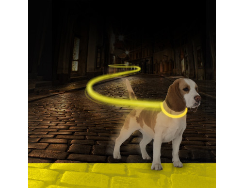 COLLIER LED JAUNE COLLIER LED JAUNE