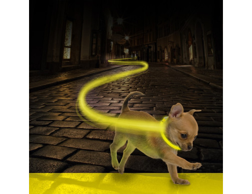 COLLIER LED JAUNE COLLIER LED JAUNE