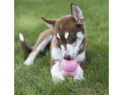 GARNITURE KONG EASY TREAT PUPPY GARNITURE KONG EASY TREAT PUPPY
