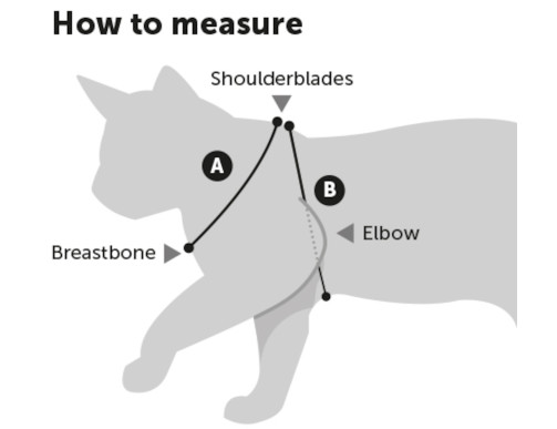 HARNAIS+LAISSE ALFRY POUR CHAT HARNAIS+LAISSE ALFRY POUR CHAT
