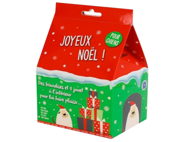 SUPRISE DE NOEL CHIEN