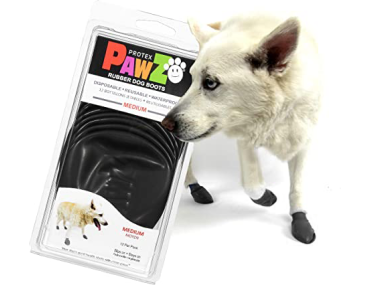 CHAUSSONS PAWZ BLACK M