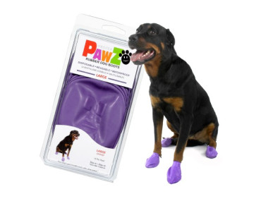 CHAUSSONS PAWZ LARGE VIOLET