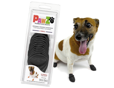 CHAUSSONS PAWZ BLACK XS