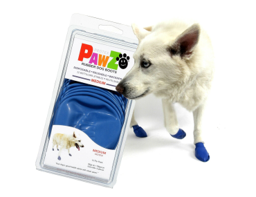 CHAUSSONS PAWZ MEDIUM BLEU