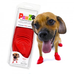 CHAUSSONS PAWZ SMALL ROUGE