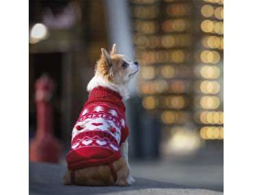 PULL DE NOEL