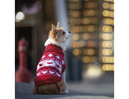 PULL DE NOEL