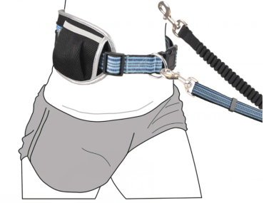 LAISSE+ CEINTURE DE JOGGING RONO BLEUE