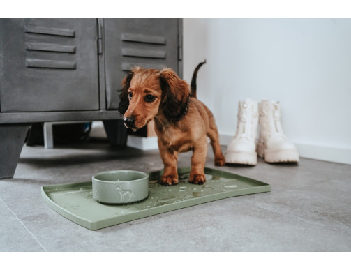 SET HUNTER OLIVE SET HUNTER OLIVE