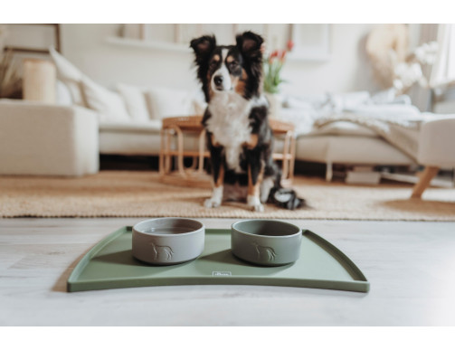 SET HUNTER OLIVE SET HUNTER OLIVE