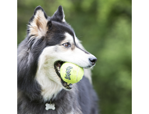BALLES DE TENNIS SQUEAKAIR KONG X3 BALLES DE TENNIS SQUEAKAIR KONG X3