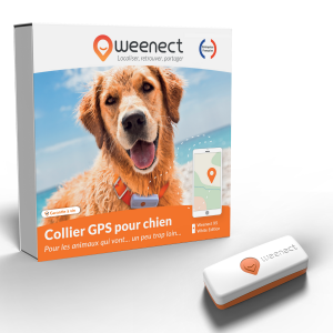 GPS CHIEN WEENECT WHITE EDITION