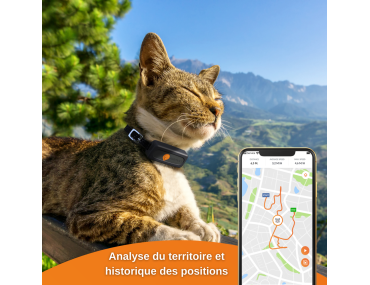 Collier GPS pour chat : Avis et Conseils pour ne pas vous faire