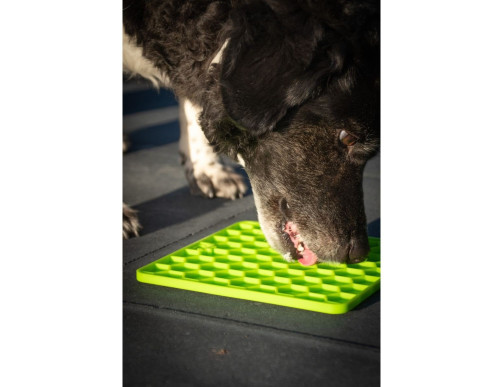 LICKPAD EAT SLOW VERT LICKPAD EAT SLOW VERT