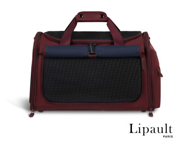 SAC LIPAULT CITY PLUME BORDEAUX