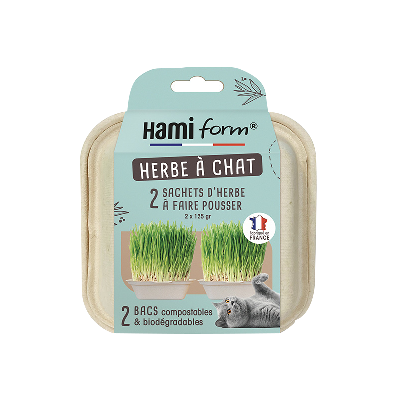 Boîte de plantation d'herbe à chat kit de culture de plantes