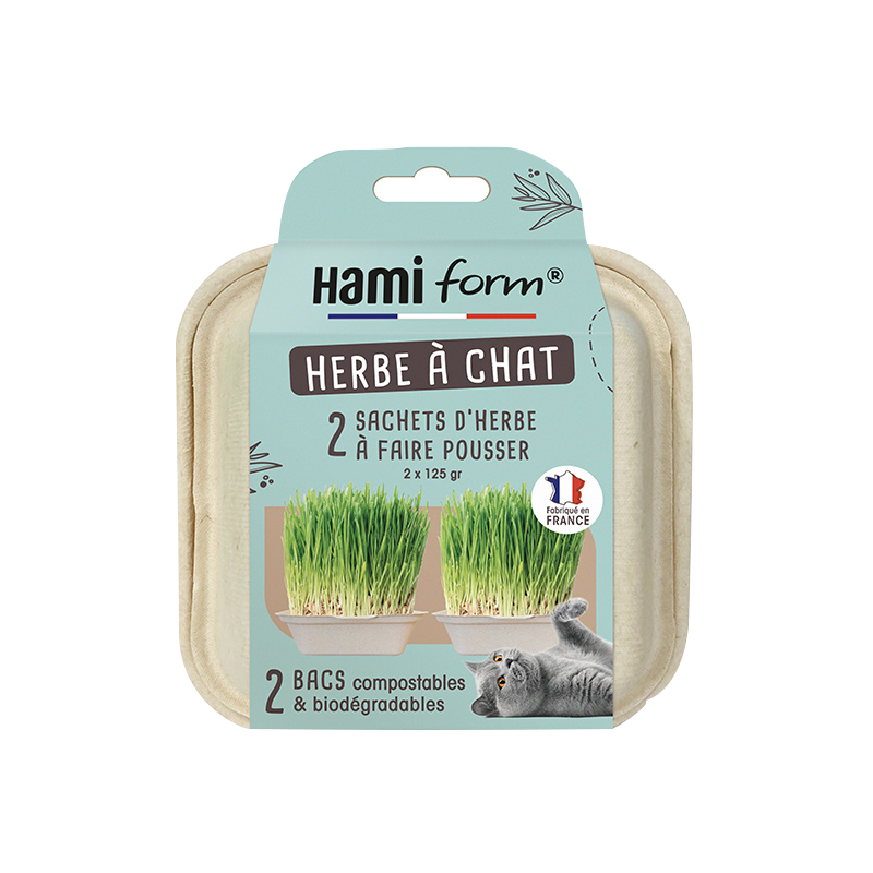 Hydroponique Chat Herbe Planteur Réutilisable Plastique Chat Herbe Kit De  Croissance Chat Herbe Pot (Sans Graines)