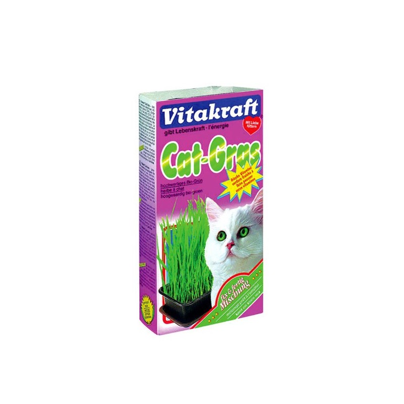 Tasse de culture herbe a chat  CatGrass™ – Mon bébé chaton