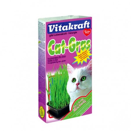 Furet garni d'herbe à chat