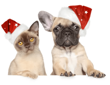 BONNET DE NOËL