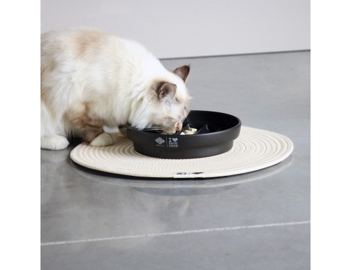 TAPIS D'ALIMENTATION JILL