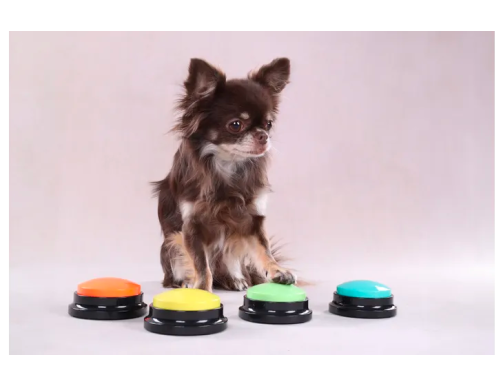 BUZZER DE COMMUNICATION KARAO BUZZER DE COMMUNICATION KARAO