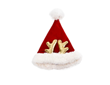 Bonnet de noël pour chien