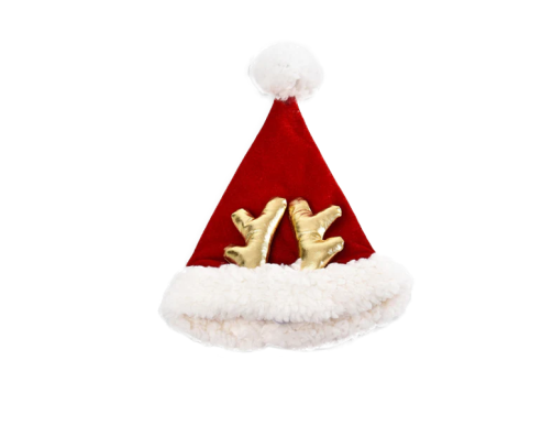 Bonnet de noël pour chien