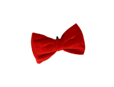Noeud rouge pour chien Noël