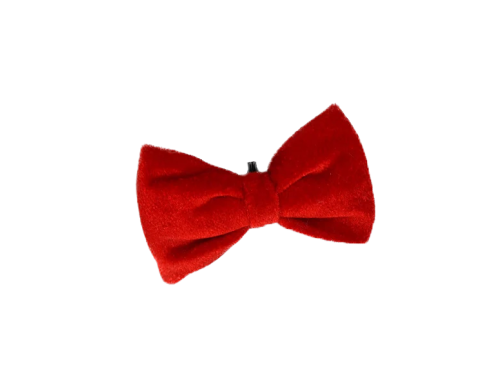Noeud rouge pour chien Noël