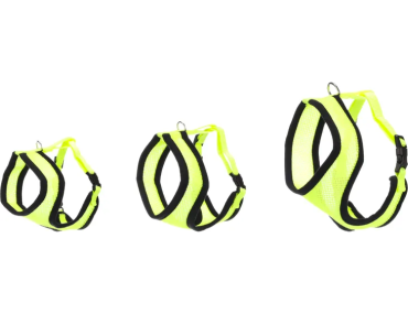 Harnais + Laisse Chaton Jaune Fluo