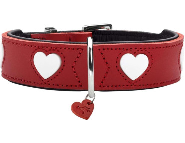 collier coeur rouge pour chien